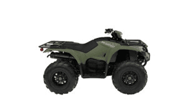 2024 Yamaha KODIAK 450