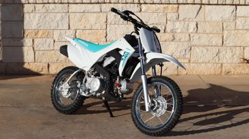 2025 HONDA CRF110F