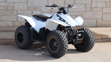 2019 Honda TRX 90X 