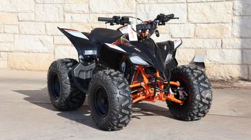 2024 KAYO PREDATOR 110