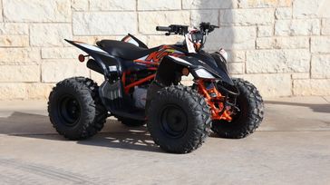 2024 KAYO PREDATOR 110