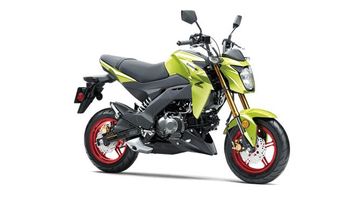 2026 Kawasaki Z125 PRO