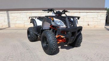 2025 KAYO BULL150 EFI METALLIC WHITE  in a METALLIC WHITE exterior color. Family PowerSports (877) 886-1997 familypowersports.com 