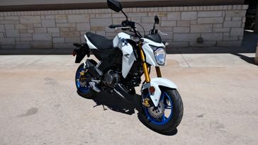 NEW 2026 KAWASAKI Z125 PRO 