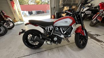 New 2025 Ducati SCRAMBLER ICON 800 