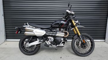 Used 2024 Triumph Scrambler 1200 XE 