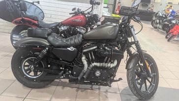 2021 HARLEY SPORTSTER IRON 883