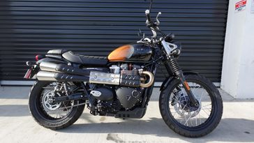 2024 Triumph Scrambler 900 Base