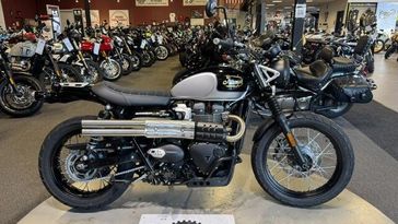 Used 2025 Triumph Scrambler 900 ICON