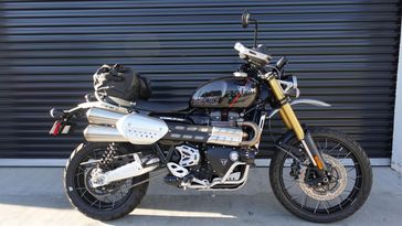 2024 Triumph Scrambler 1200 XE