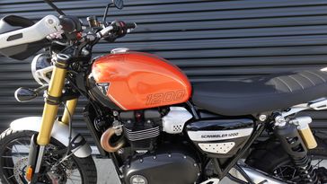 2025 Triumph Scrambler 1200 XE 