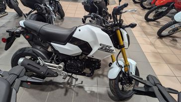 2025 HONDA GROM BASE PEARL WHITE