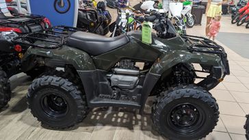 2024 HONDA FOURTRAX RECON ES