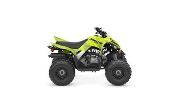 New 2026 Yamaha Raptor 110 