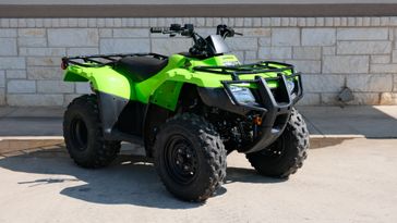 2024 HONDA FOURTRAX RECON ES KRYPTON GREEN