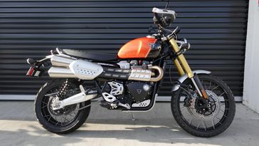 2025 Triumph Scrambler 1200 XE 