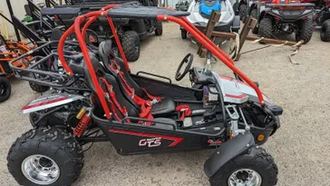 2023 HAMMERHEAD GTS 150 