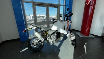 2024 Ducati DesertX in a White Livery exterior color. BMW Motorcycles of Jacksonville (904) 375-2921 bmwmcjax.com 