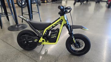 New 2026 Triumph TXP12 