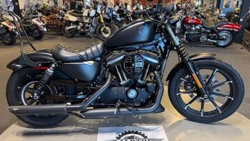 Used 2019 Harley-Davidson XL883N / IRON 883 