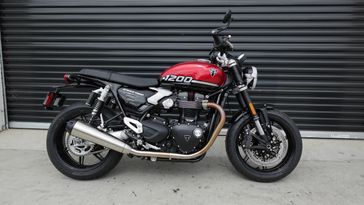 New 2025 Triumph Speed Twin 1200 