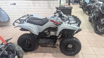 2022 Yamaha GRIZZLY 90