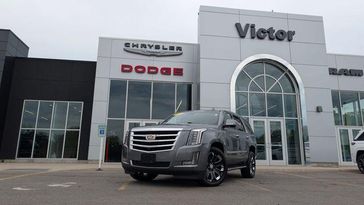 Used 2019 Cadillac Escalade Luxury