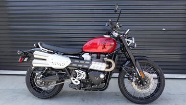 New 2025 Triumph Scrambler 1200 X 