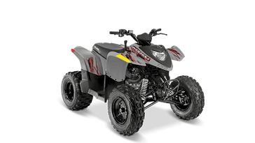 USED 2024 POLARIS PHOENIX 200 