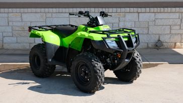 2024 Honda FOURTRAX RECON KRYPTON GREEN