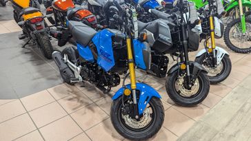 2025 HONDA Grom