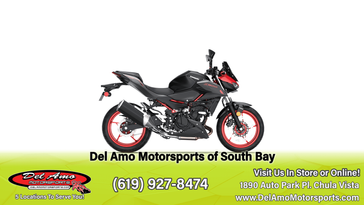 2024 Kawasaki Z500 SE ABS