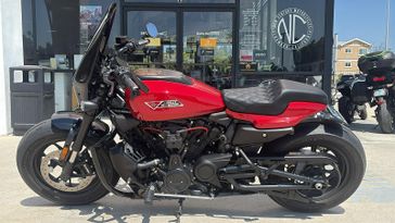 Used 2025 Harley-Davidson Sportsters 