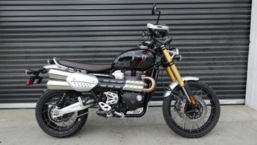 2024 Triumph Scrambler 1200 XE