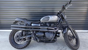Used 2008 Triumph Scrambler 900 