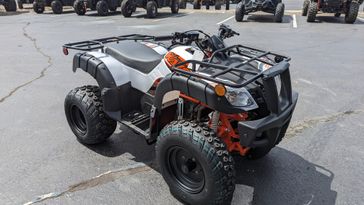 2023 KAYO BULL 150 in a WHITE exterior color. Family PowerSports (877) 886-1997 familypowersports.com 