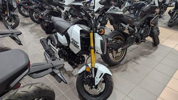 2025 HONDA GROM BASE PEARL WHITE