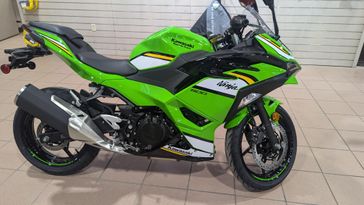 2025 KAWASAKI NINJA 500 KRT EDITION LIME GREEN AND EBONY AND PEARL BLIZZARD WHITE