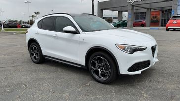 Alfa White