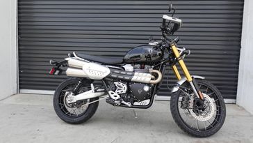 New 2026 Triumph Scrambler 1200 XE 