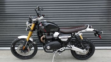 New 2025 Triumph Scrambler 1200 XE 