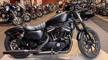 Used 2021 Harley-Davidson Iron 883 