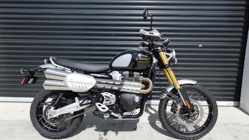New 2025 Triumph Scrambler 1200 XE 