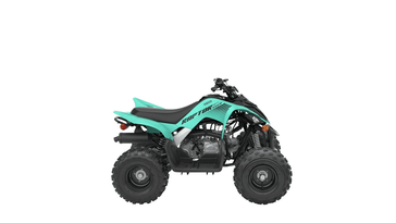 2025 Yamaha Raptor 110 