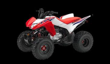 2024 Honda TRX250X