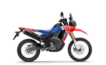 New 2025 Honda CRF300L RALLY 