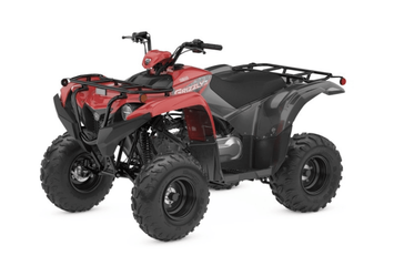 2025 Yamaha Grizzly 110 