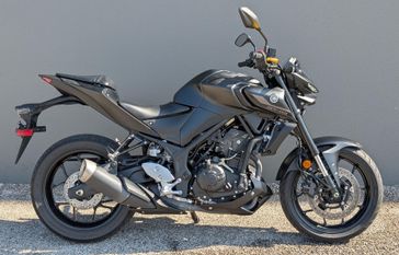 2024 Yamaha MT 03 