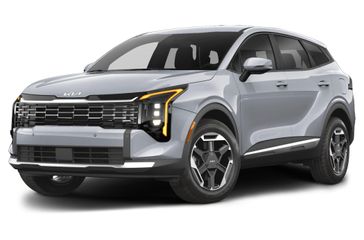 Wolf Gray
