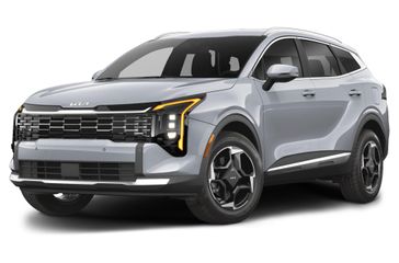 Wolf Gray